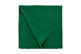 Linen napkin green (set of 2)
